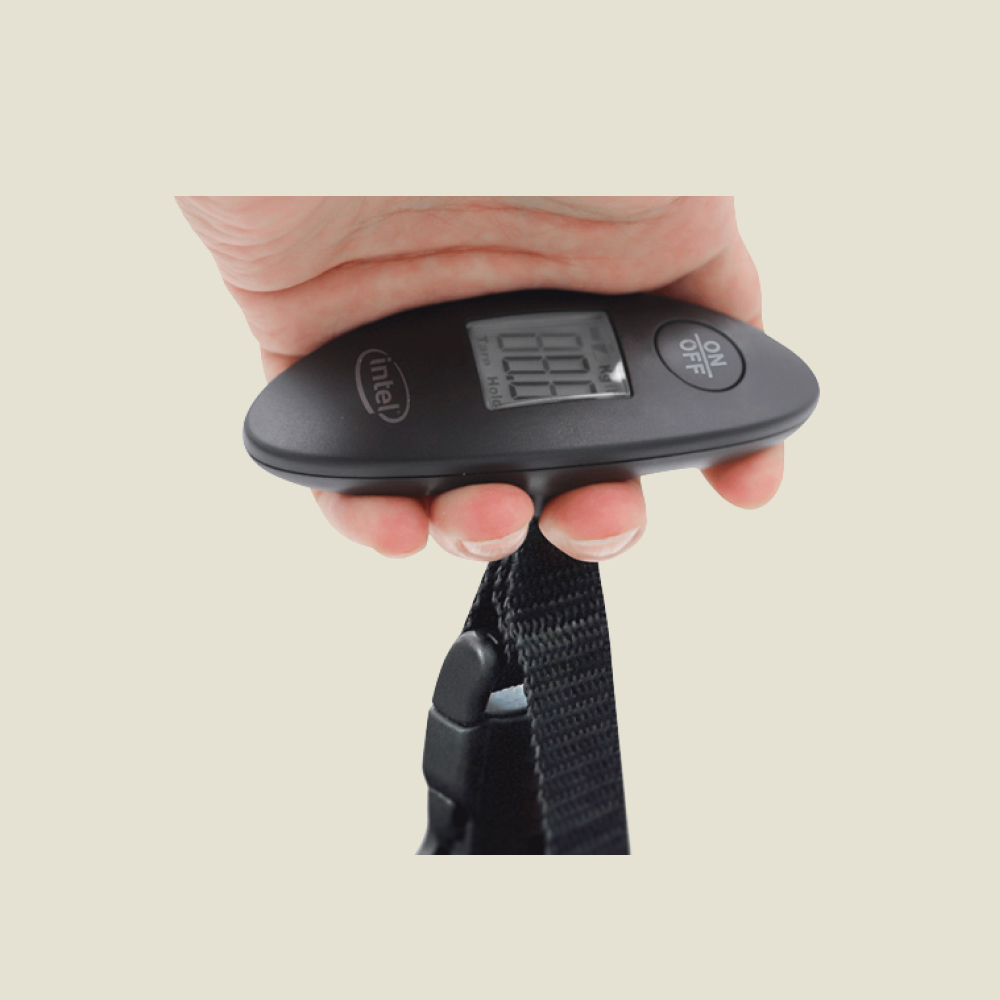 Travel Scale